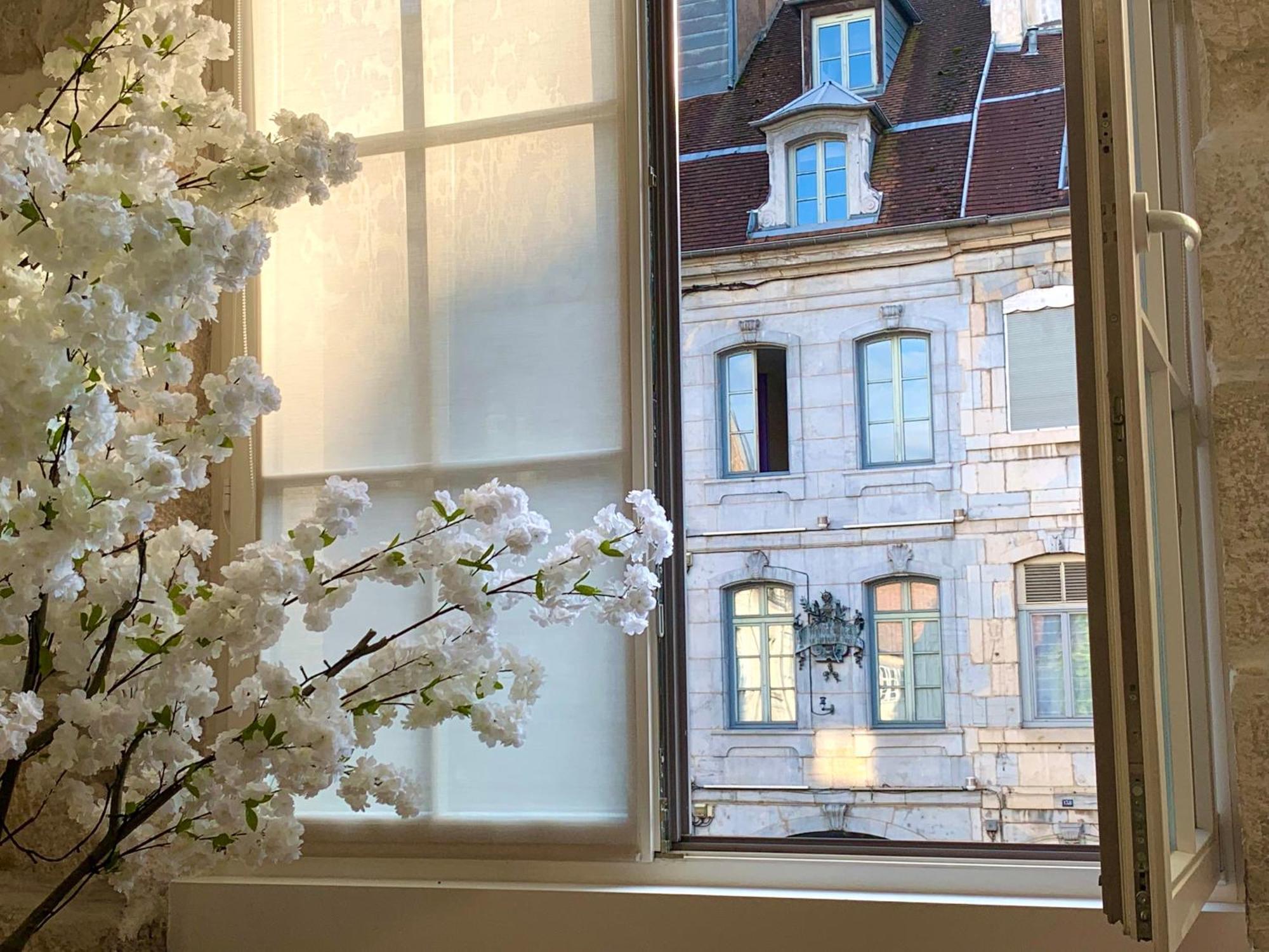 Les Fabuleux Appartements Du Coeur De Ville - Place Victor Hugo Besançon Eksteriør bilde